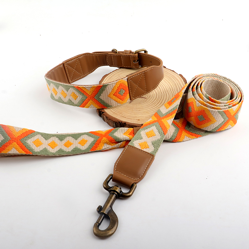 Leash and collar 2