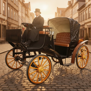 Charrettes <span class=keywords><strong>de</strong></span> tourisme classiques à vendre / Charrettes <span class=keywords><strong>de</strong></span> course très demandées / Nouvelles petites charrettes exportées à l'échelle nationale - Product Image 3