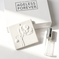 Diffuseur d'huiles essentielles en céramique personnalisé avec logo, parfum d'ambiance en plâtre, fleur en porcelaine, diffuseur de parfum pour voiture suspendu