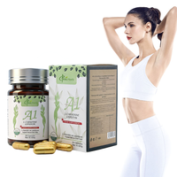 Extrait d'herbes de qualité alimentaire OEM Chine-Herb, améliore l'immunité, végétalien, L-carnitine, sans produits laitiers, capsules faibles en gras, cultivées à l'état sauvage