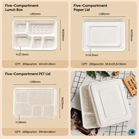 Barquette repas biodégradable en bagasse de canne à sucre à 5 compartiments avec couvercle, compostable, jetable, capacité 36 oz, pour pique-nique moderne