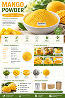Poudre de mangue lyophilisée naturelle, poudre de jus de mangue séchée par pulvérisation pure, poudre de fruit soluble dans l'eau pour boissons et pâtisseries