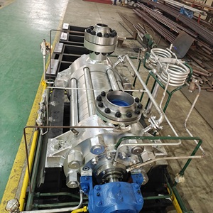 API 610 BB4 HDG bơm sửa chữa và nâng cấp phân tích chi phí và nghiên cứu khả thi - Product Image 2