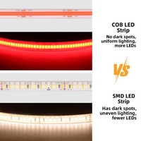 Bande LED en silicone en forme d'arc de 8 mm, IP67, 24 V, lumière rouge, 10 W, 5 m, 10 m, pour jardin, allée, parterre de fleurs, décoration extérieure