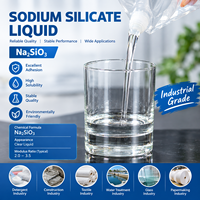 Fabricant de solution de silicate de sodium de qualité industrielle pour détergent