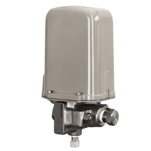 Diferencial P10 de Acero Inoxidable para Otros Usos Industriales con 12 Meses de Garantía - Product Image 1