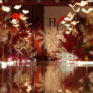 Nouveau style, 5 têtes de papillons en acrylique, lumières LED lumineuses pour allée, éclairage de scène pour mariage, décoration d'événements - Product Image 4