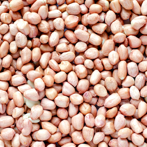Nueva temporada, los mejores cacahuetes, cacahuetes indios premium, cacahuetes frescos, cacahuetes molinados de la mejor calidad, nueva cosecha, granos de cacahuete de la mejor calidad - Product Image 1