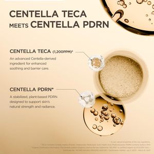 SKIN1004 Centella TECA Ampoule 50ml Siero Viso Idratante per Tutti i Tipi di Pelle - Product Image 4