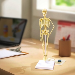 Trường bài học lắp ráp cơ thể con người Cấu Trúc Bộ xương Giải Phẫu Học tập đồ chơi giáo dục đồ chơi 2025 giáo dục - Product Image 5