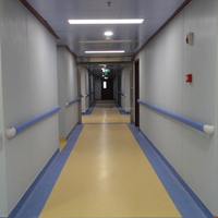 Barre de protection murale pour hôpital, antibactérienne, ignifuge, facile à nettoyer, garantie 1 an, sécurité optimale
