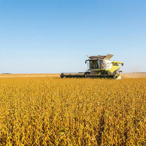 Изолят соевого белка (SPI90/SPI95) без ГМО, высокой чистоты, с низким содержанием жира, без холестерина, с соевыми изофлавонами, пищевой порошок - Product Image 3