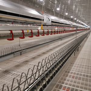 Système d'alimentation automatique en chaîne pour élevage de poulets reproducteurs, équipement d'élevage de volailles, mangeoire en chaîne - Product Image 6