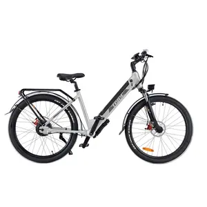 TDJDC 36V 350W 샤프트 구동 자전거 미드 모터 지방 타이어 전기 자전거