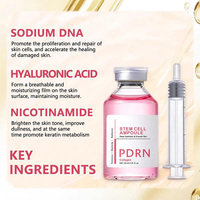 Ampoule d'essence faciale PDRN Niacinamide Marque Blanche Hydratation Profonde Éclat Lisse Teint Uniforme