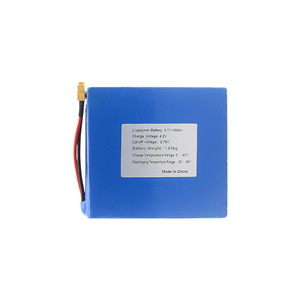 Pacco Batteria Personalizzato Li-Polymer 24V 36V 48V 52V 60V 72V con BMS Integrato, Celle 18650 21700, Capacità 10Ah 15Ah 20Ah 25Ah 30Ah 40Ah - Product Image 6