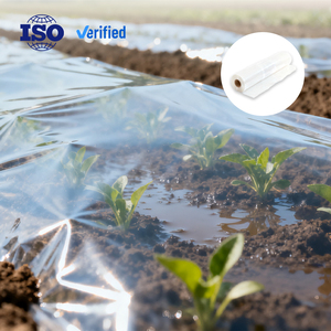 Film <span class=keywords><strong>de</strong></span> paillage plastique transparent résistant aux UV pour la rétention <span class=keywords><strong>de</strong></span> la chaleur et <span class=keywords><strong>de</strong></span> l'humidité dans les jardins et les fermes - Product Image 2
