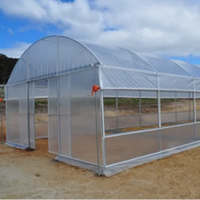 Serre agricole commerciale compacte en PE avec film PE 120 microns, système hydroponique, profilés Poly Lock, structure stable et facile à assembler
