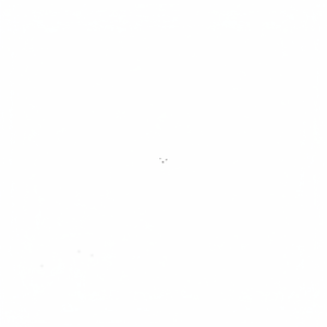 Estetoscopio de Aleación de Zinc para Adultos, Diseño de Una Sola Cabeza, Color Negro, Modelo ZY-4004, para Profesionales Médicos - Product Image 1