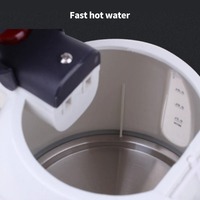 Bouilloire électrique pour véhicule, camion, voiture, 12 V, 24 V, 1000 ml, grande capacité, portable, chauffe-eau de voyage, cafetière, théière chauffante