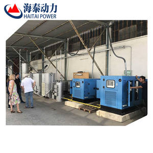 אורז קליפה 10kw 20kw 100kw <span class=keywords><strong>biomass</strong></span> גז מחיר המפעל - Product Image 5