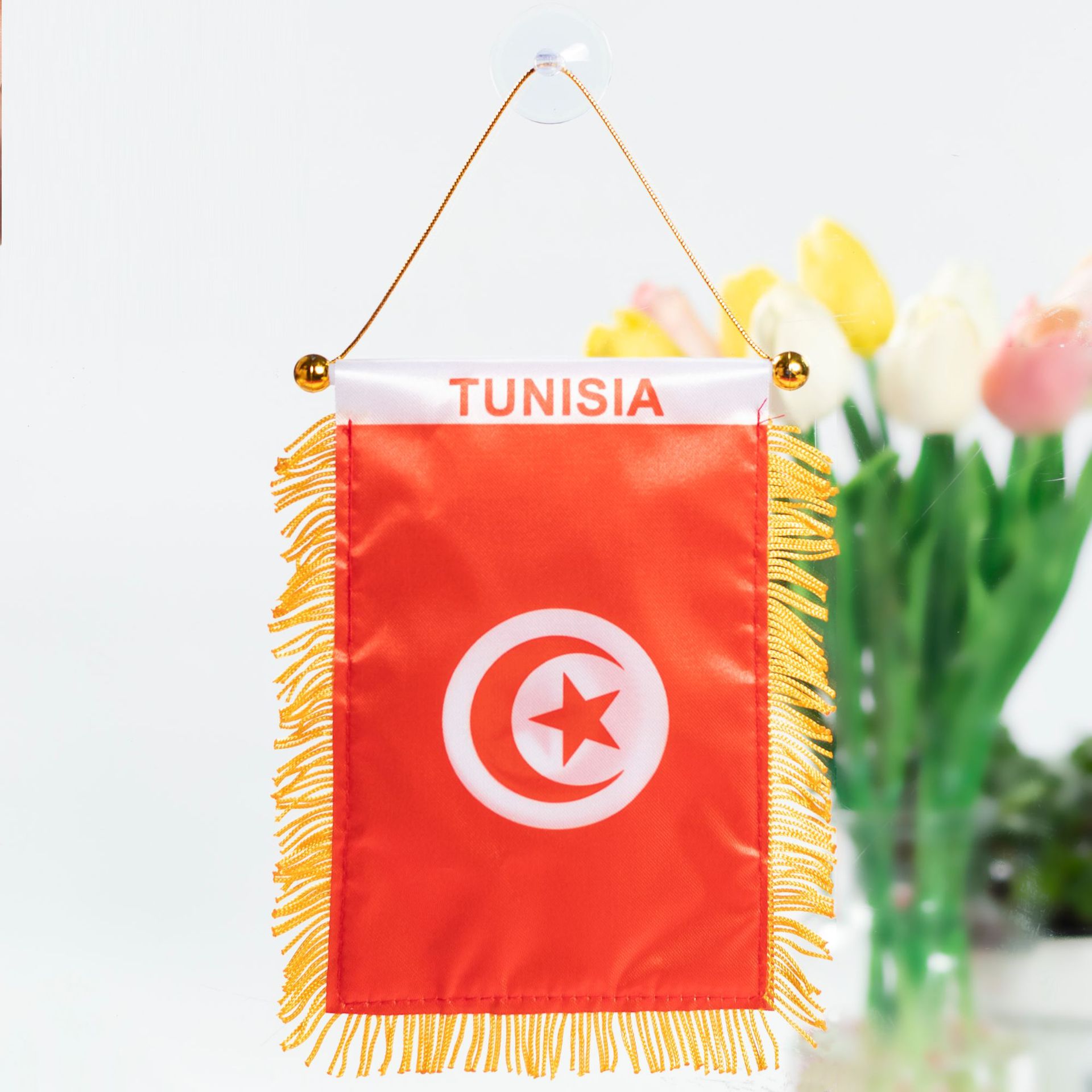 Túnez
