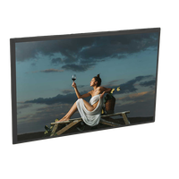 10.1" 1280x800 HD Capacitive Touch Screen | LVDS Interface -40C~85C Anti-Shock for Car Infotainment/Industrial Use