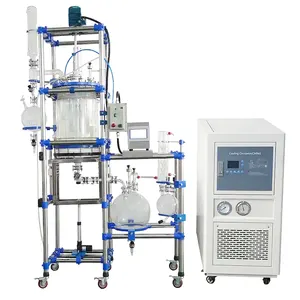 Ultrasone Biodiesel Reactor 5l Mantel Glazen Reactor Katalytische Reactor