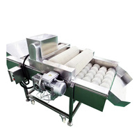 Machine de retrait des épines de cactus durable en promotion, équipement automatique de traitement des cactus pour usage agricole et industriel