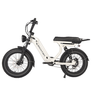 Bicicleta Eléctrica con Llantas Gruesas LEICHTEN 750W 48V, Aluminio Electrónico, 7 Velocidades, Suspensión Completa, Diseño Vintage TDN32Z, 7 Velocidades - Product Image 2