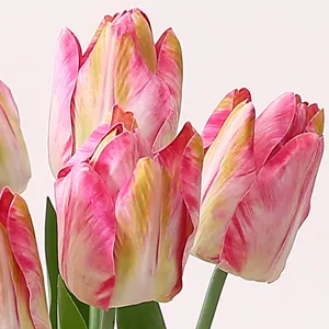 Bunga Buatan Dekorasi Rumah, Bunga Tulip PU Batang Tunggal 2021