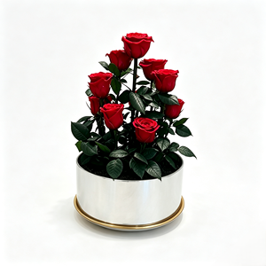 Rosa Eterna Attiva '<span class=keywords><strong>Giardino</strong></span> <span class=keywords><strong>Segreto</strong></span>', Rosa Rossa Conservata, Regalo per Decorazioni Eventi, Festa della Mamma, San Valentino, Natale - Product Image 1