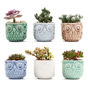 6piece/set Cute Owl Flower Pots Planter Owl animal thumb pot ceramic crafts office desktop home garden furnishing indoor outdoor