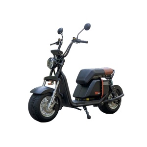 Modèle le plus vendu : Scooter vintage 1000W 20AH avec batterie au lithium et pneus larges pour les trajets quotidiens - Product Image 2