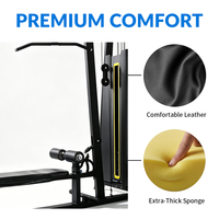 Machine professionnelle F205 pour exercices de tirage vertical assis et de rameur bas, équipement de fitness commercial pour entraînement du dos