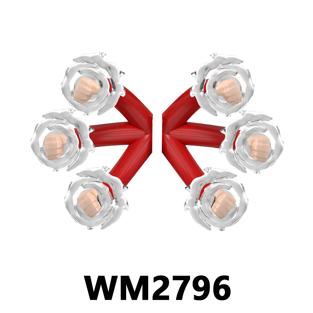 WM 2796