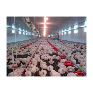 China prefabricated chicken house designs poultry farm building structures