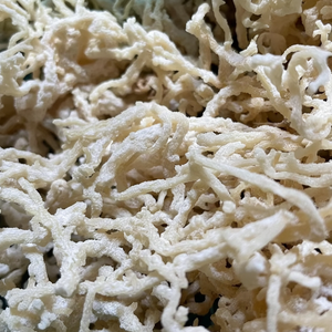 Mousse de mer biologique et mousse d'Irlande sauvage offertes de l'océan propre en grande quantité pour l'exportation internationale avec origine fiable - Product Image 1