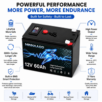 Baterai LiFePO4 12V 60Ah Siklus Dalam untuk Penyimpanan Energi Surya, Cadangan Rumah Off Grid, RV, dan Berkemah