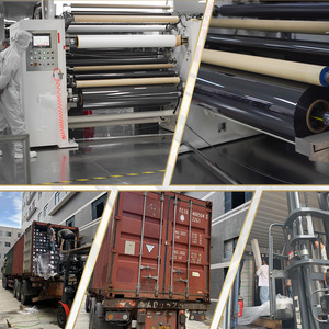 Film <span class=keywords><strong>de</strong></span> fenêtre <span class=keywords><strong>de</strong></span> sécurité Wesun pour façades <span class=keywords><strong>de</strong></span> magasin Film <span class=keywords><strong>de</strong></span> fenêtre résistant aux chocs contre les ouragans Protection contre les tempêtes pour bâtiment commercial à domicile - Product Image 6