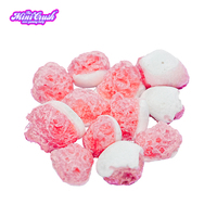 Vente directe d'usine bonbons de lyophilisation saveurs de fruits assorties bonbons gommeux lyophilisés y compris les sacs halal épicés