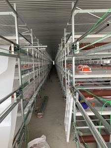 Otomatik Sulama ve Gübre Temizleme Özellikli Modern Kanatlı Çiftliği İçin Broiler Tavuk Kafesi - Product Image 6