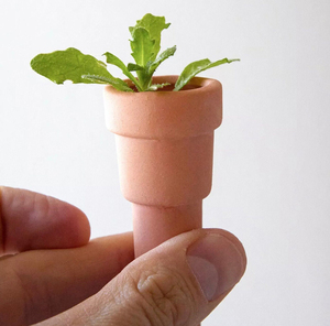 Jardinières à herbes en terre cuite à poser sur bouteille, pots à graines en terre cuite, jardinières d'intérieur pour herbes aromatiques, pots à herbes pour <span class=keywords><strong>rebord</strong></span> <span class=keywords><strong>de</strong></span> <span class=keywords><strong>fenêtre</strong></span> - Product Image 5