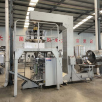 Machines DY pour la fabrication de chips de banane Ligne de production de poudre de banane 100-500 kg/h Machines de fabrication de chips de banane