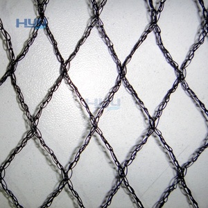 Filet <span class=keywords><strong>anti</strong></span>-oiseaux en HDPE tricoté - Filet <span class=keywords><strong>anti</strong></span>-oiseaux résistant aux UV pour la protection des arbres fruitiers et des vergers - Product Image 2