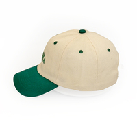 Grosir topi bisbol 6 Panel huruf kustom 3D Logo bordir timbul dua warna topi bisbol untuk pria