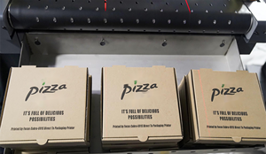 Focus Inc. Digitaldrucker für Wellpappe beutel drucker Maschinen logo und Verpackungs drucker - Product Image 5