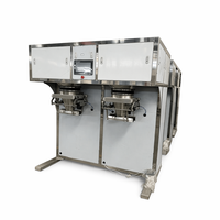 Máquina de Envasado y Llenado de Bolsas de Plástico Semiautomática de Doble Cabezal SS304 para Fertilizantes, Polvo Químico y Gránulos