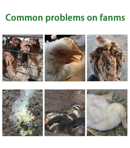 Antibiótico en Polvo para Aves de Corral, Vacas y Cerdos, Estilo Seco, Acelera el Crecimiento de las Aves y Mejora la Salud Respiratoria - Product Image 2