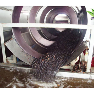 Automatic Berries Cleaning Machine Acai Berry Destemming and Washing Machine for Sale - Product Image 4